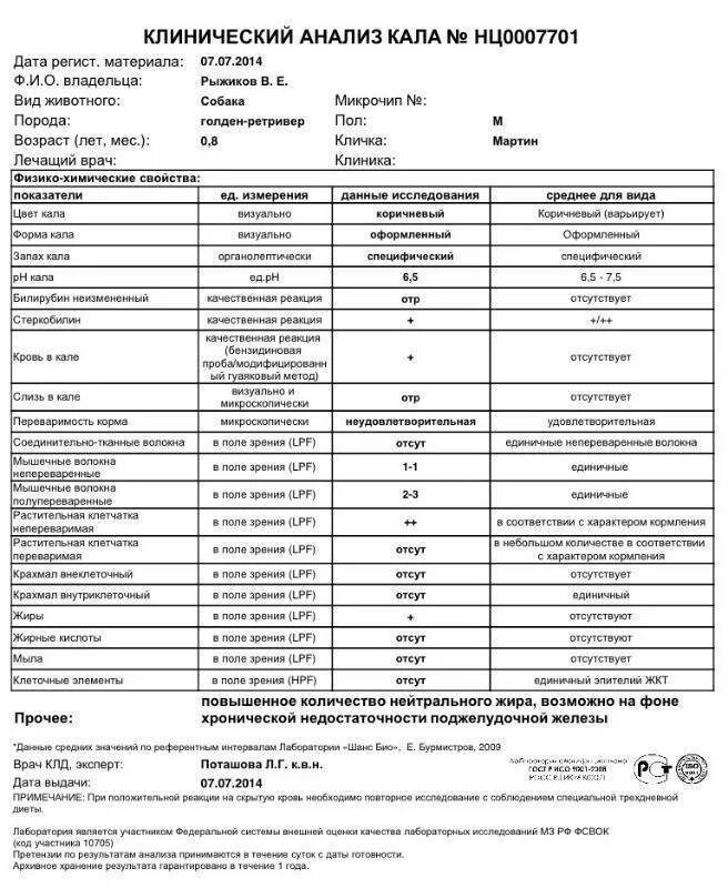 Жидкий кал на анализы можно. Химический анализ кала собак норма. Анализ кала собаки норма. Анализ кала собаки копрограмма. Клинический анализ кала пример.