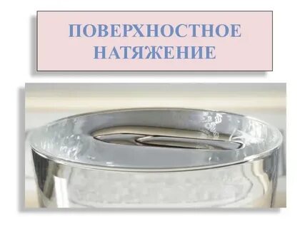 Поверхностное натяжение создают