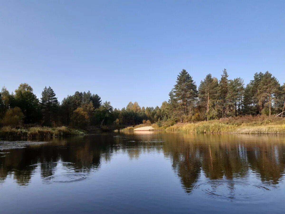 Озеро Сережа Нижегородская область. Речка Сережа в Нижегородской области.