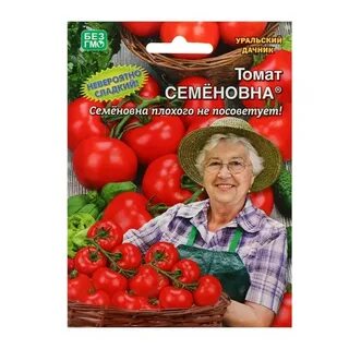 Томат семеновна отзывы