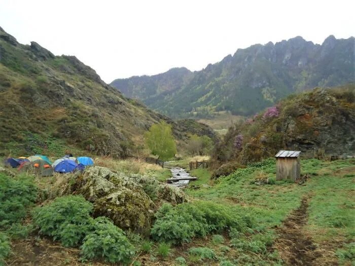 Республика Алтай поселок Бийка.. Кемпинг Бийка. Урочище Бийка. Река Бийка.