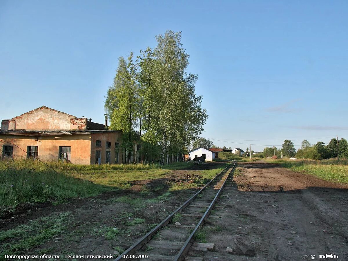 Тесово новгородская область. Станция Рогавка Новгородской области. Рогавка Тесово Нетыльский. Тёсово-Нетыльский Новгородская. П Тесово Нетыльский Новгородская область.