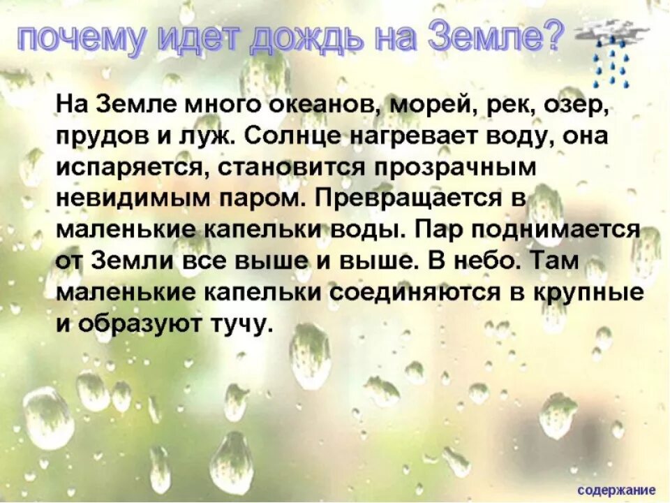 Вред от дождя какой окружающий мир. Рассказ о Дожде. Почему идет дождь. Текст рассуждение про дождь. Описание дождя.