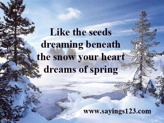 Spring snow перевод. Quotes about snow. snowfall one heart. spring snow 10cm текст.