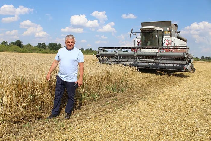 Уборочная кампания. Задачи по математике про картошку. Фермер с граблями. Молодой фермер с планшетом. Смородиновая борозда.