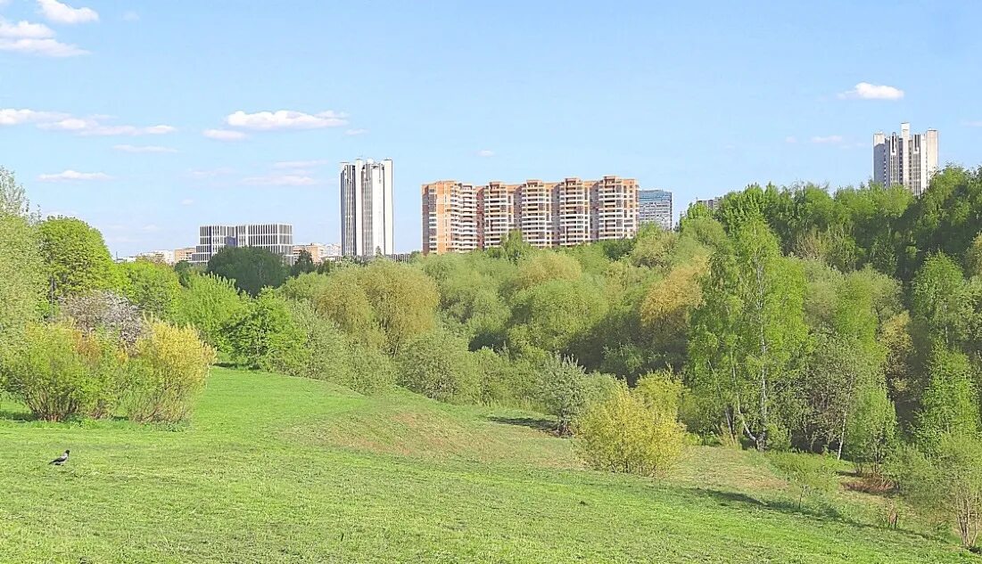 Парк 50 летия октября фото. Парк 50 летия Москва. Раменки парк 50 лет октября. Парк 50-летия октября Раменка Москва. Проспект Вернадского парк 50 лет октября.