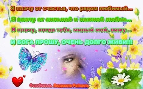 Не плачь мой милый