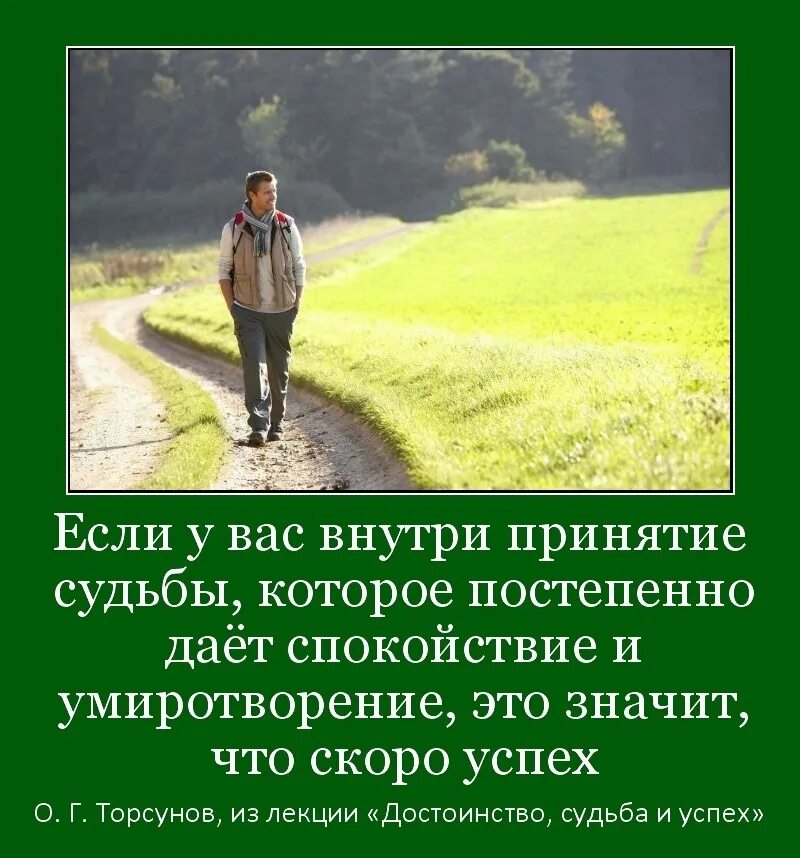 Принятие судьбы. Цитата о принятии судьбы. статусы о принятии судьбы. настрой на принятие судьбы.