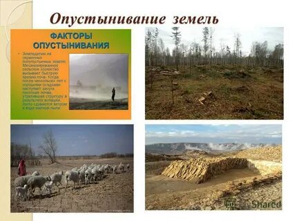 Арктическое опустынивание это
