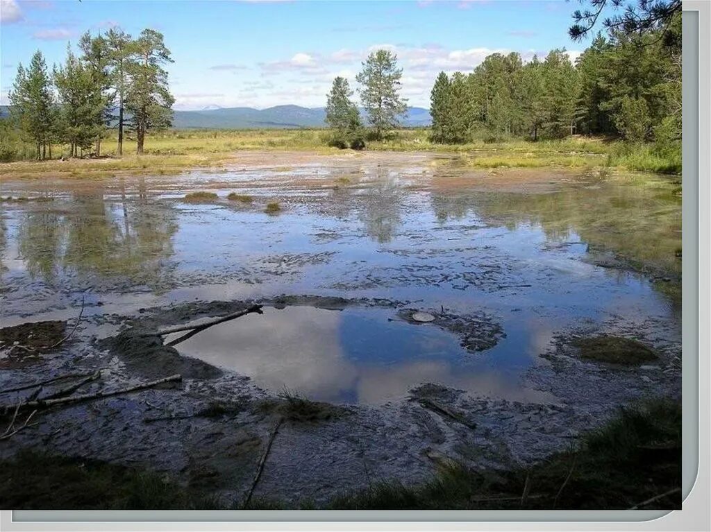 В исследованной воде из местного болота. Болото в Забайкалье. Васюганские болота. Таежный болотистые озера.