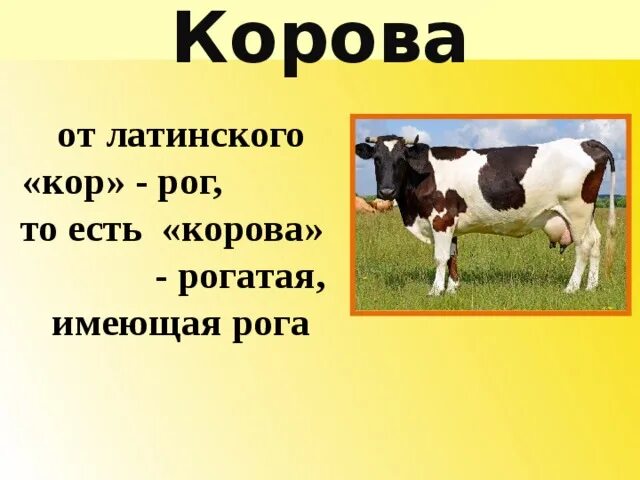 Корова русское слово