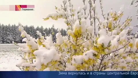 Зима вернулась