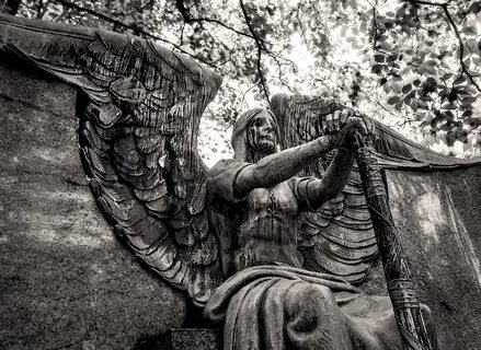The angel