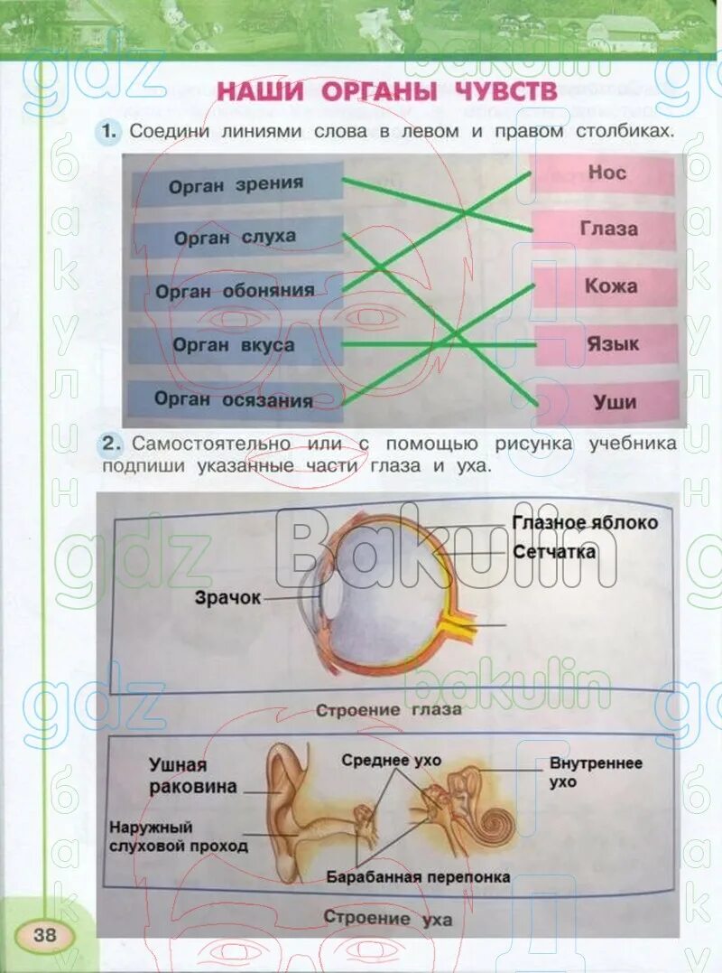 Перспектива третий класс окружающий мир рабочая тетрадь. Окружающий мир 2 класс рабочая тетрадь Плешаков Новицкая стр 2. Окружающий мир 3 класс тетрадь. Окружающий мир 3 класс рабочая тетрадь. Гдзлкружающий мир 2 класс тетрадь 2 страница 44.