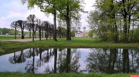 Прогулка по майскому лесу