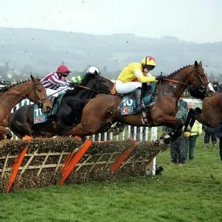 At the race