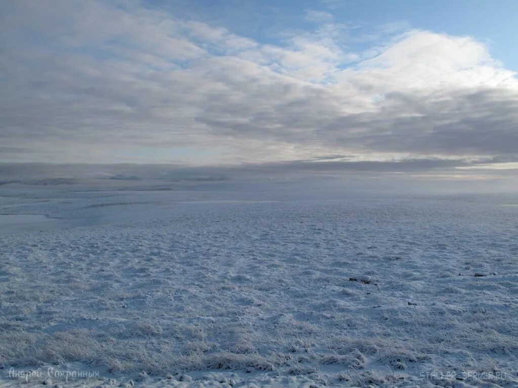 карское море теплое. остров северный карское море. побережье карского моря. карское море. баренцево море ямал.