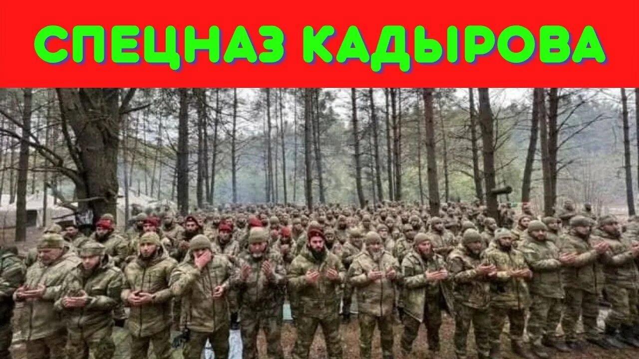 Войска Кадырова. Чеченский спецназ. Армия России в лесу. Чеченские войска. Кадыровцы воюют на украине