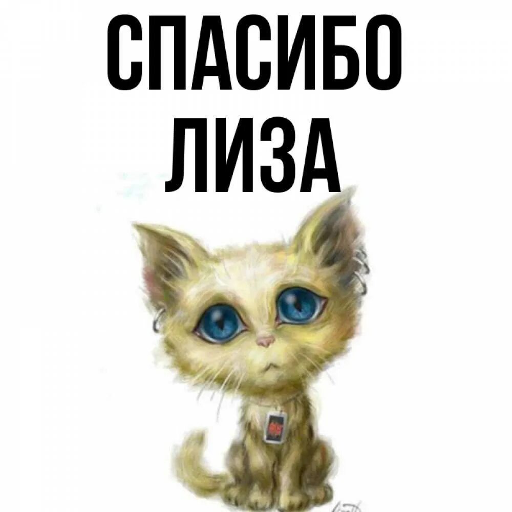 Посвящается кошке лизе картинки