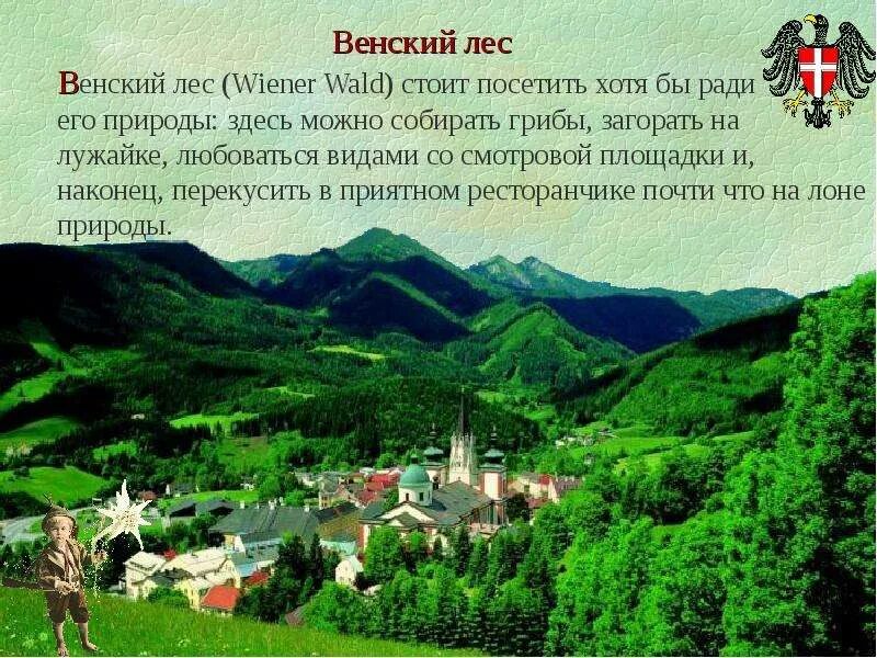 Австрия презентация. Достопримечательности Австрии описание. Проект про Австрию. Интересные факты о природе Австрии. Вены реки текст