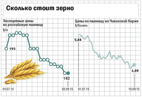 Динамика экспортной пошлины на пшеницу. 1 бушель в кг. Бушель кукурузы в кг. Бушель в кг пшеница. Бушель пшеницы в кг.