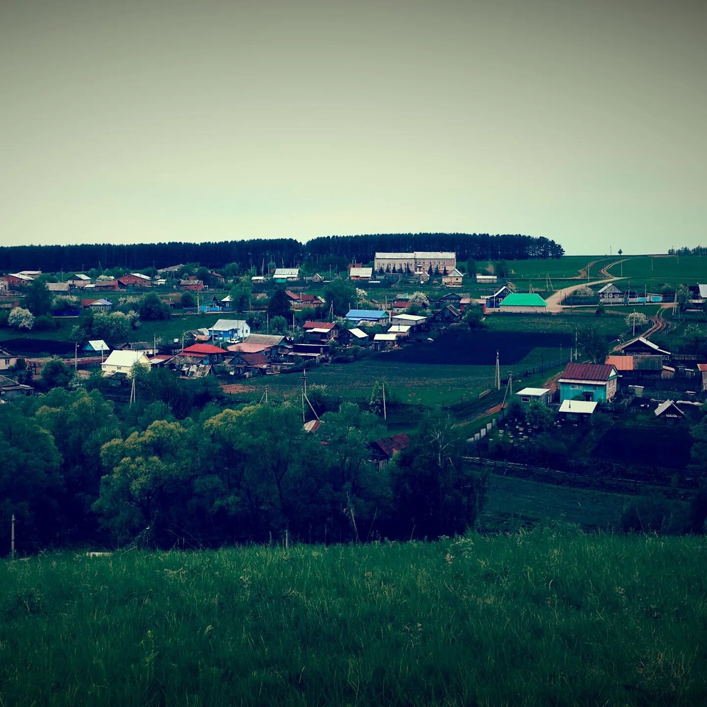 Скирда. Фермерский хозяйства бирский район емашево. Сено бирск. Сено луговое зеленое. Деревня романовка бирский район.