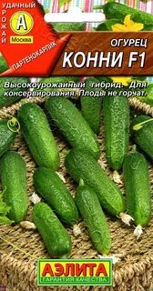 Огурец сорт конни