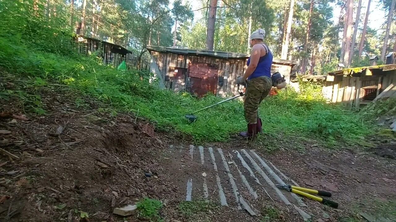 Как расчистить участок от деревьев