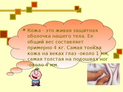Кожа 1 класс