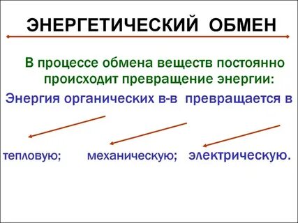 Схема энергетического обмена веществ
