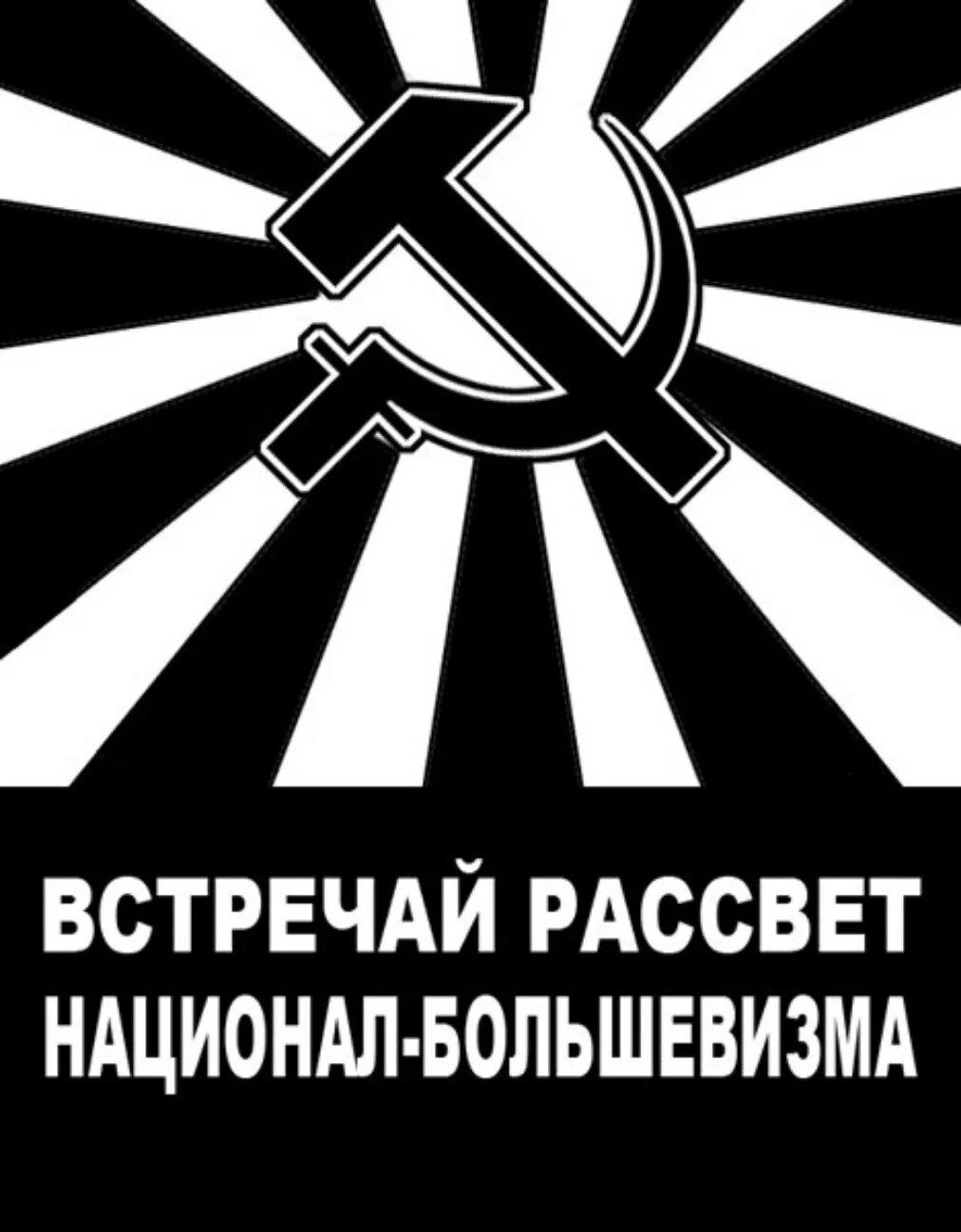 Флаг нбп. Национал большевистская партия флаг. Символика национал большевистской партии. Нбп партия флаг. Национал-большевистская партия герб.