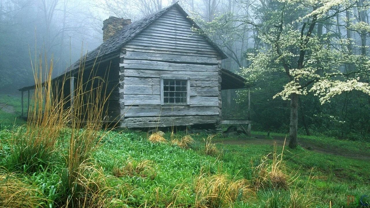 Заброшенные деревни заброшенная деревня. Домик кэбин сша. Домик лесника заброшенный. Домик в лесу. Деревня осенью.