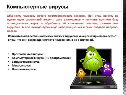Программные вирусы