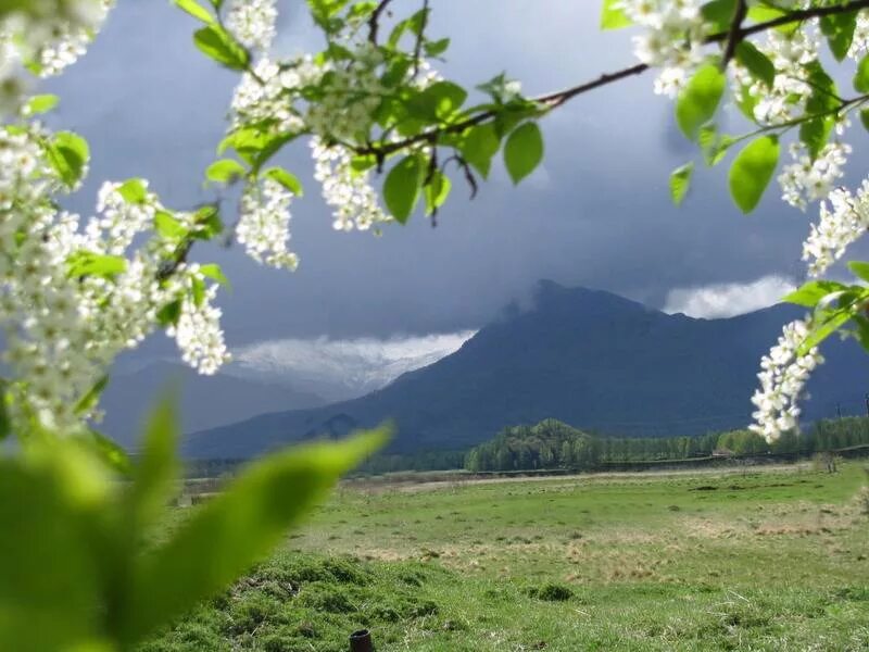 Октавиан флореску. Весна волшебство. Красавица весна. Окружающая среда природа. Мир и гармония в душе.