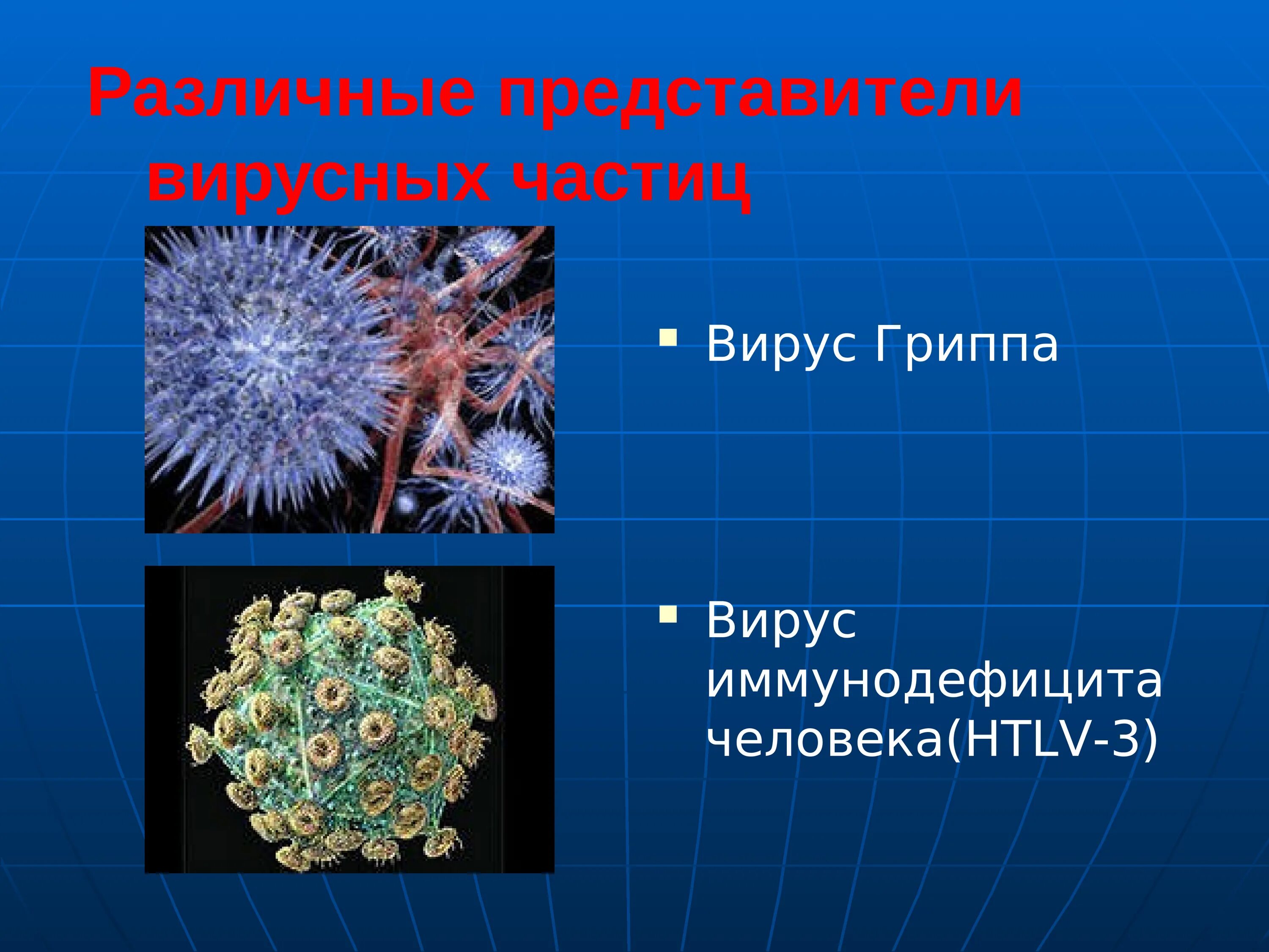 Представители вирусов биология. Представители вирусов. Вирусы микробиология. Презентация на тему вирусы. Вирус гриппа.