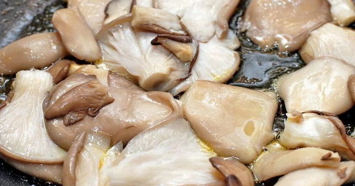 Грибы вешенки жарка. Вешенки. грибы вешенки жареные. приготовление грибов вешенок. вёшенки жареные грибы.