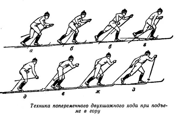 Подъем шагом. Подъём попеременным двухшажным ходом. Техника попеременного двухшажного хода на подъем. Техника подъема попеременным двухшажным ходом. Попеременный двухшажный ход на лыжах подъем.