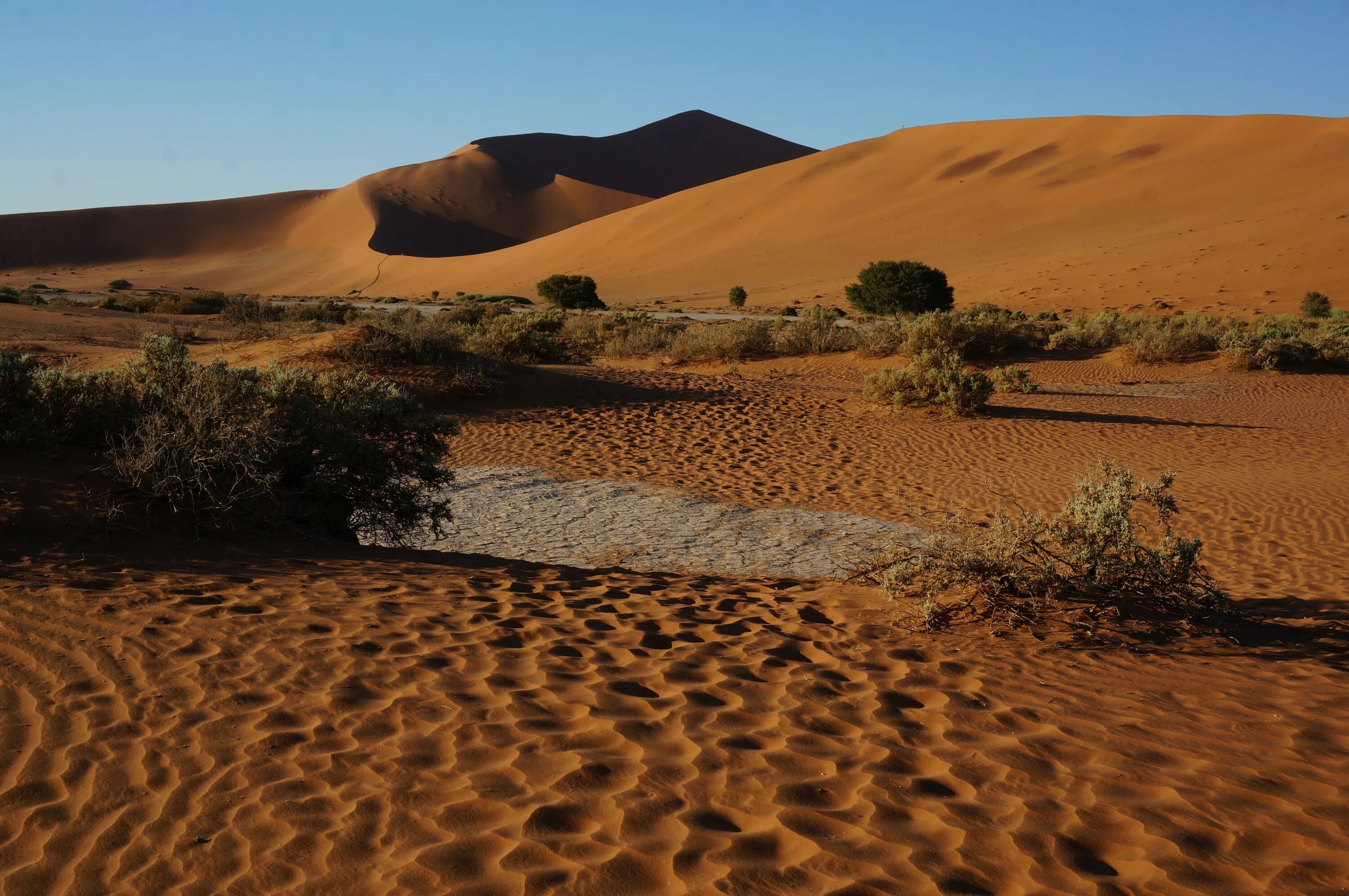 Приокеаническая пустыня. Намибия пустыня Намиб. Намиб пустыни Африки. Намибия пустыня Калахари. Пустыня: сахара, Ливийская, Калахари, Намиб.