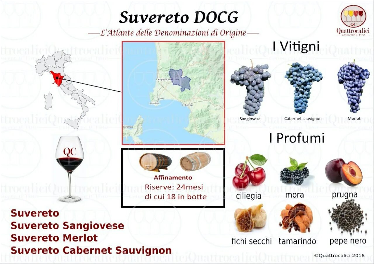 Тоскана карта вино. Винодельческие регионы Италии. Винодельни Тосканы на карте. Вино Toscana какая Страна.
