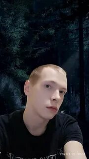 Dima dark forest