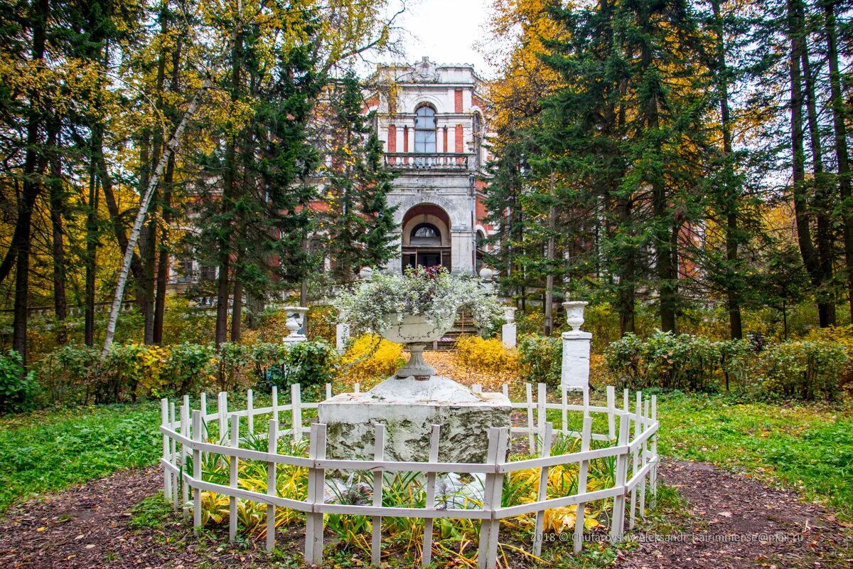 Усадьба воронцово Быково. Усадьба Быково парк. Воронцовский парк Быково. Усадьба Воронцова-Дашкова в Быково-Марьино. Парк усадьба московская область