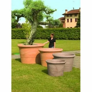 Extra plant