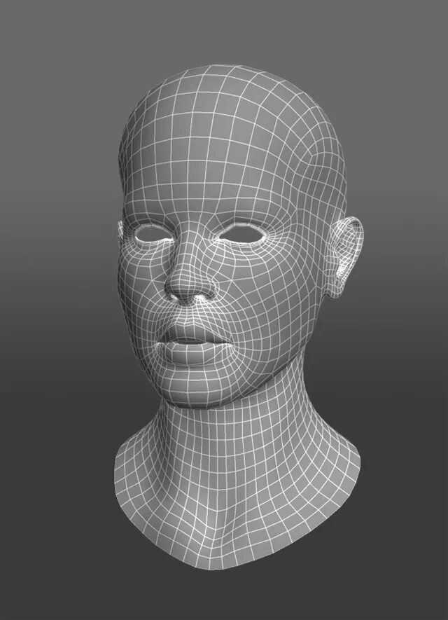 Head modeling
