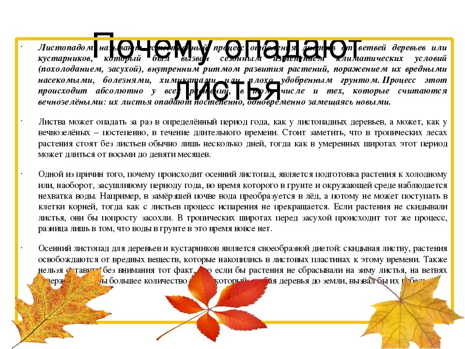 Почему растения сбрасывают листья. Почему опадают листья осенью. Почему деревья сбрасывают листья осенью. Почему листья опадают от дерева. Зачем листья сбрасывают листву.