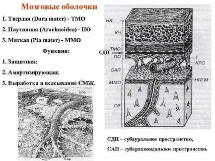 Непроницаемая оболочка
