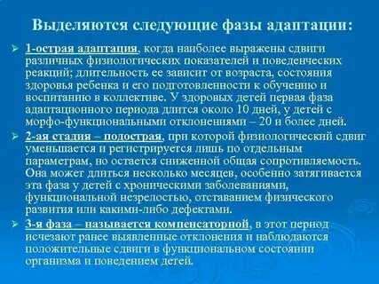 Фазы адаптации
