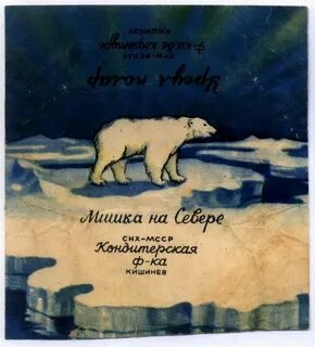 Мишка на севере