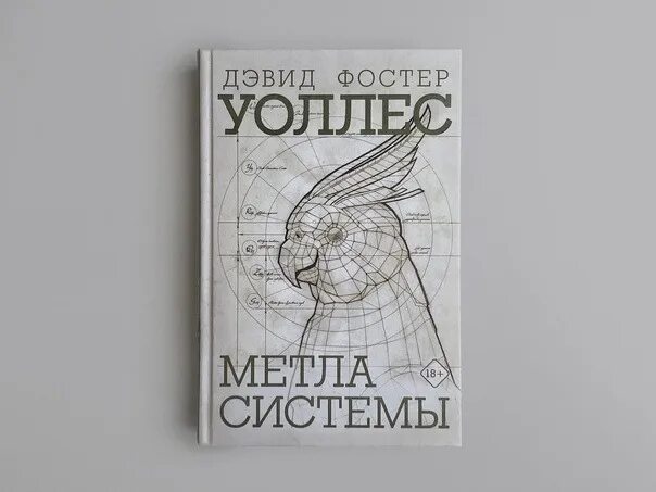 Селина аллен эффект фостера читать полностью