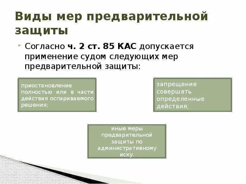 Применение мер предварительной защиты по административному иску