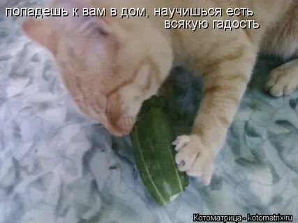 Всякую гадость